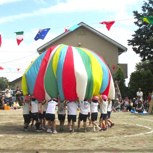 多彩な保育カリキュラム