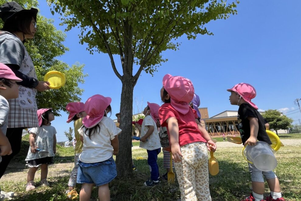 とようら保育園で遊ぶ子どもたちと保育士。発達段階に合わせた子ども中心の保育の中で、安心感に包まれながら自己肯定感と信頼感を育む様子。